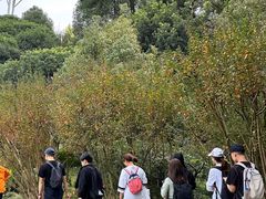 -铁山坪森林公园