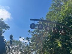 -中国科学院西双版纳热带植物园