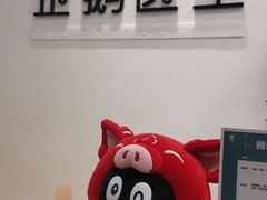 -中间带医疗(成都旗舰店)