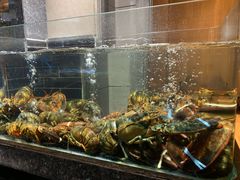 -许家菜(望江店)