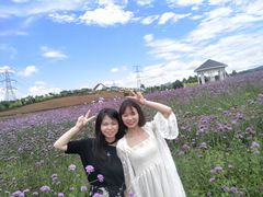 -紫颐香薰山谷景区