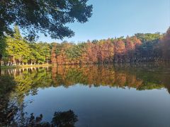 -番禺大夫山森林公园