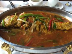 鲈鱼-哈布斯扒房(华发商都店)