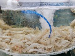 -鑫渔港海鲜本地菜·山海关浑锅(东戴河店)