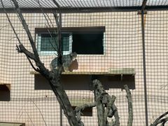 -青藏高原野生动物园