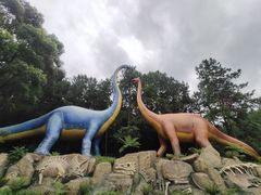 -佛冈森波拉度假区