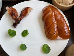 -梧桐