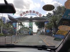 -深圳野生动物园