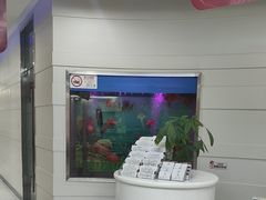 -雅悦齿科(顾村公园店)