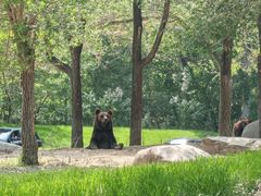 -北京野生动物园