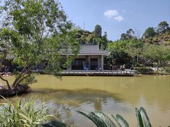 -大亚湾红树林城市湿地公园