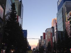 -秋叶原电器街