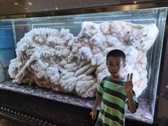 -湖南省地质博物馆