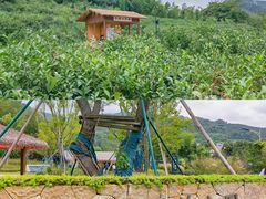 -良渚古城遗址公园