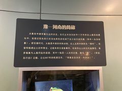 -河南自然博物馆
