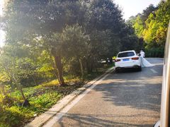 -铁山坪森林公园