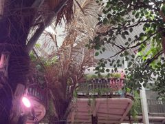 -正佳雨林生态植物园