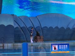 -横店影视城梦幻谷园区