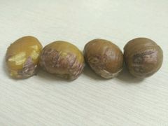 -小宝栗子(嘉华国际商业中心店)