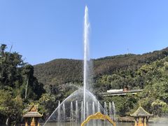 -西双版纳原始森林公园