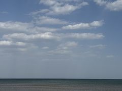 -山东八大碗山东老字号