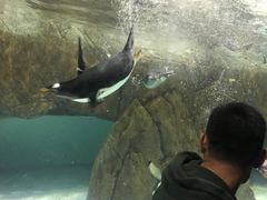 -成都浩海立方海洋公园