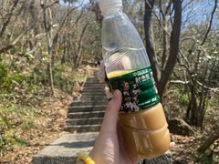 -紫金山山顶公园
