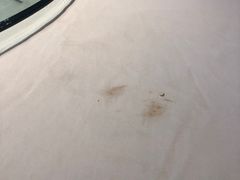 -辣螃铠盆盆蟹大排档(海昌店)