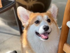 -卢小厨私房菜(长兴店)