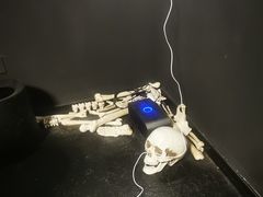 -百川·追风楼沉浸式剧本杀