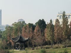 -眉山湿地公园(东坡区)