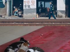 -小南海站
