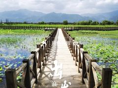 -野鸭湖国家湿地公园