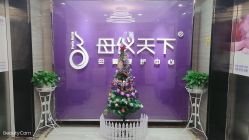 -母仪天下月子中心(光谷店)
