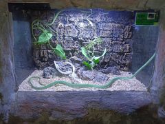 -海南热带野生动植物园