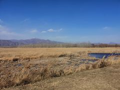 -野鸭湖国家湿地公园