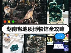 -湖南省地质博物馆
