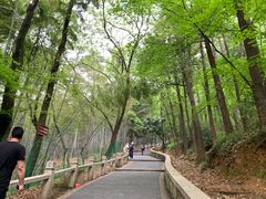 -灵岩山风景区