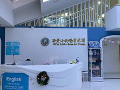 -西安小天鹅艺术团(曲江Alice店)