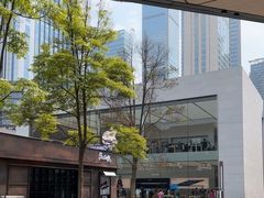 -Apple零售店(成都太古里店)