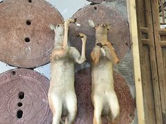 -乔家满族八大碗(流水沟店)