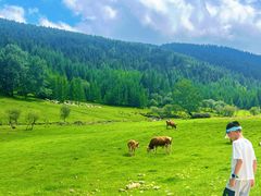 -芦芽山旅游度假区