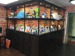 -小苹果儿童摄影(崇安店)