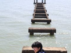 -贡湖湾湿地公园