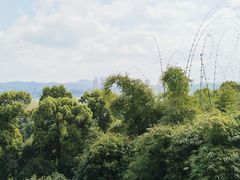 -张坝桂圆林公园