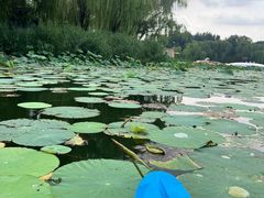 -WhaleSports户外水上运动俱乐部(朝阳公园店)
