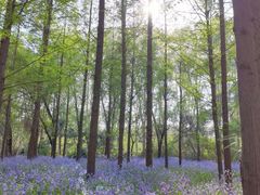 -白沙门生态公园