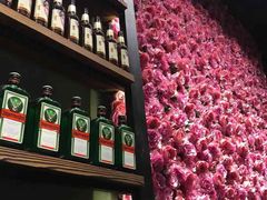 -潮庭·大连海鲜·炭火烧烤·扇贝王(大连店)