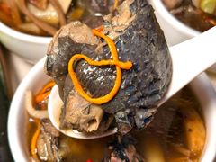 -土连锅·现熬养生汤锅(梁家巷店)
