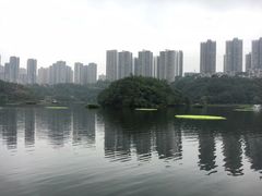 -重庆彩云湖湿地公园
